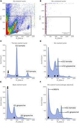 An Evaluation of Nuclei Preparation of the Dormant Axillary Bud of Grapevine for Cell Cycle Analysis by Flow Cytometry